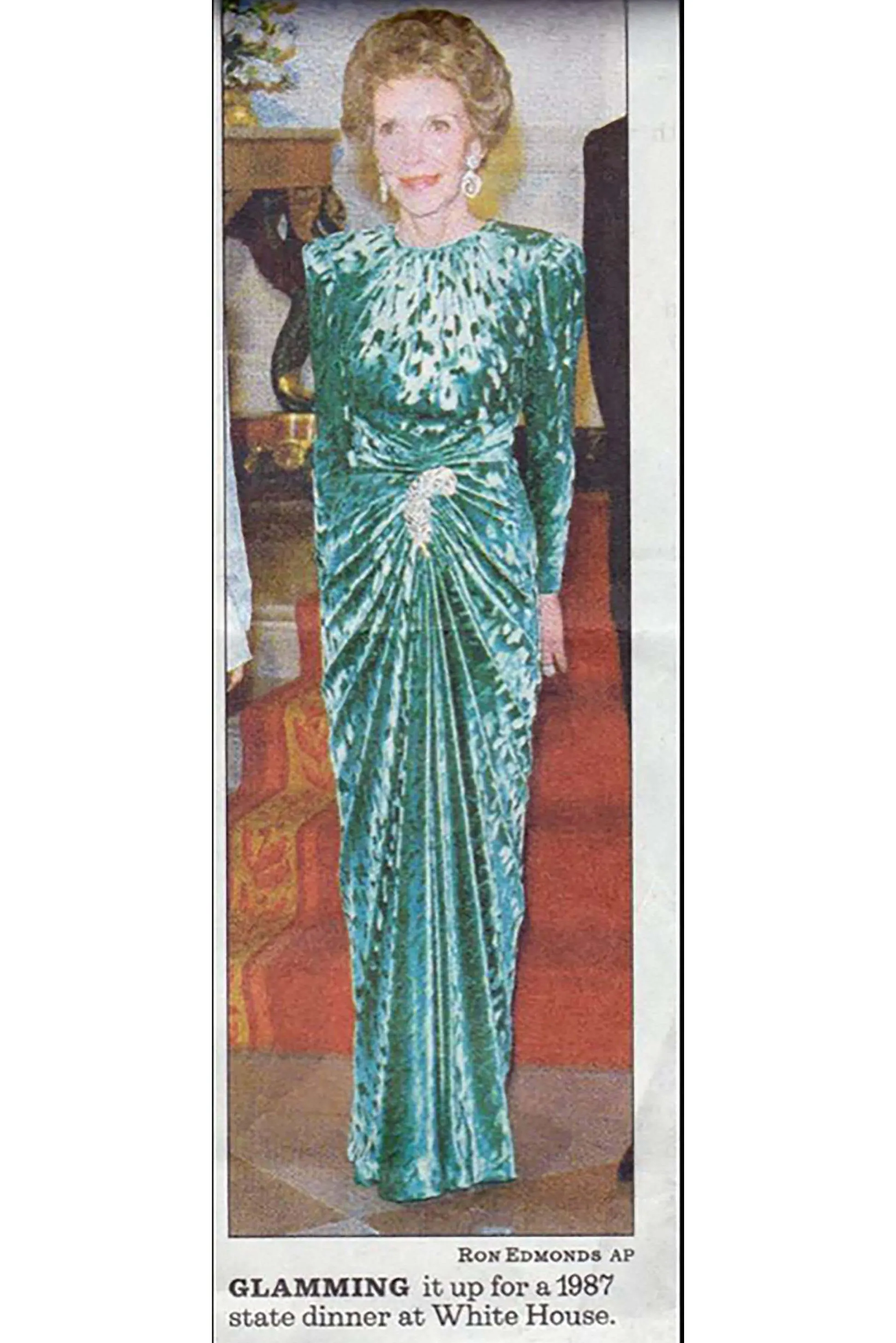 1987 Embossed Silk Velvet Gown