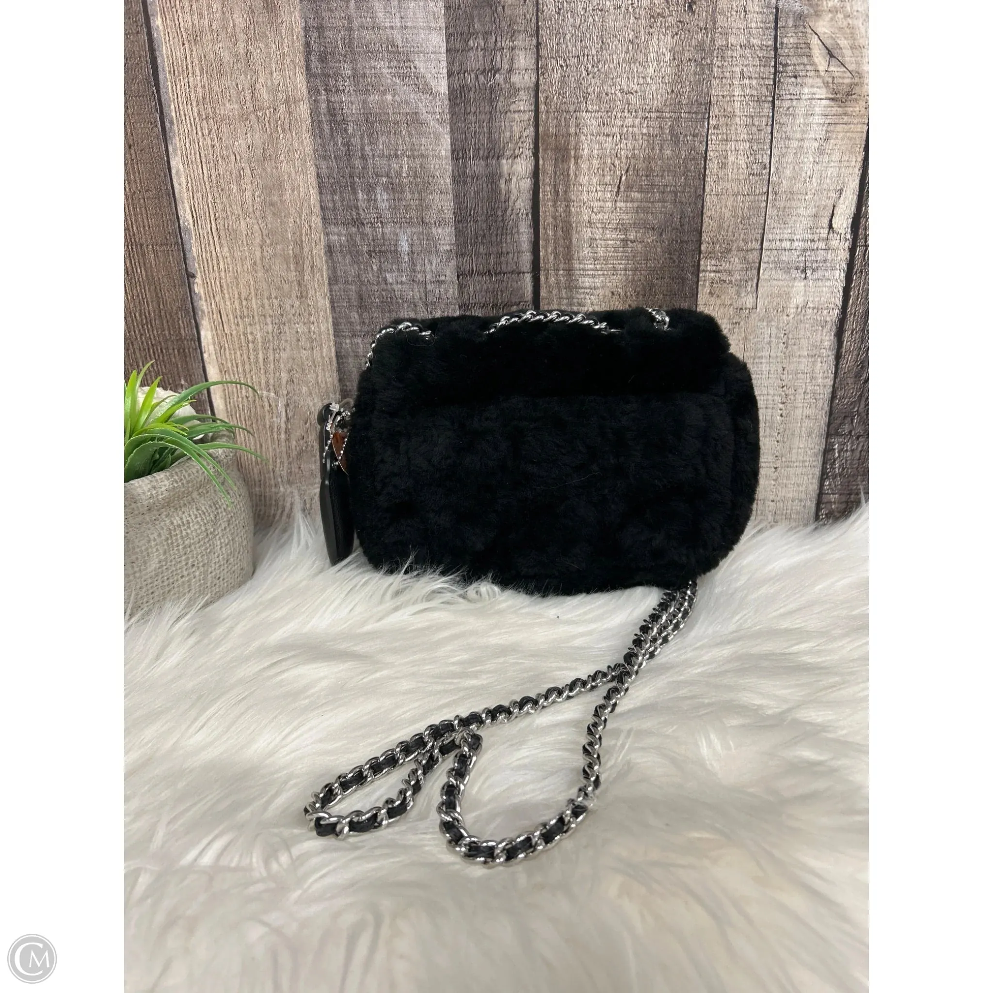 Crossbody Designer By Coach, Size: Small