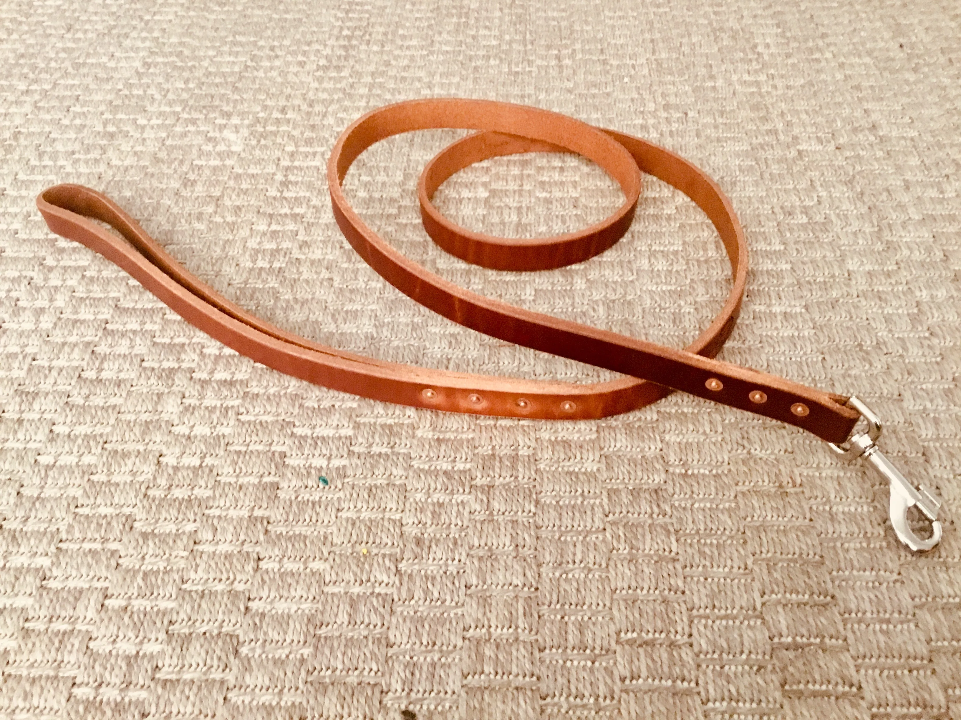 Hollis Leather Dog Leash