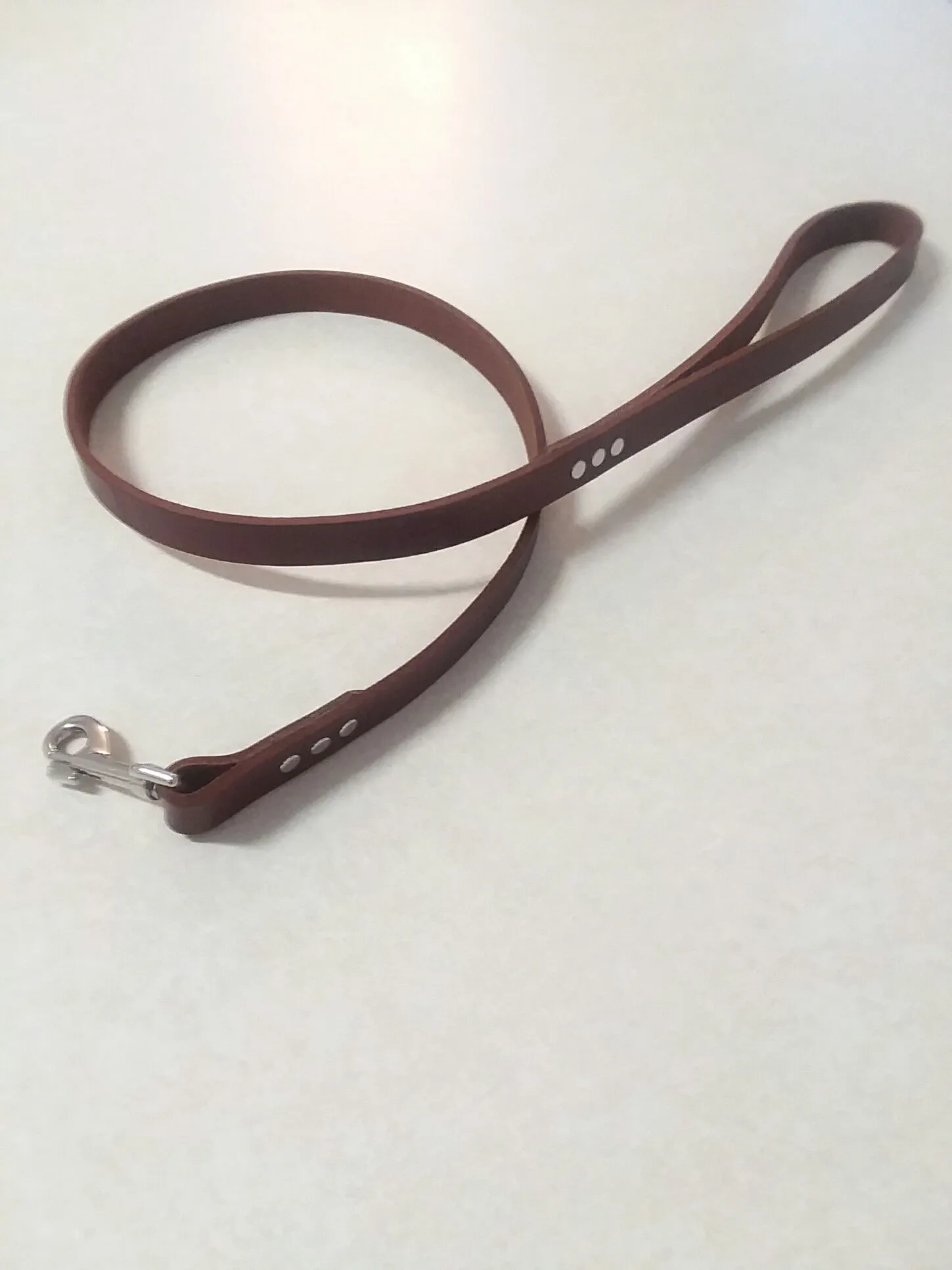 Hollis Leather Dog Leash