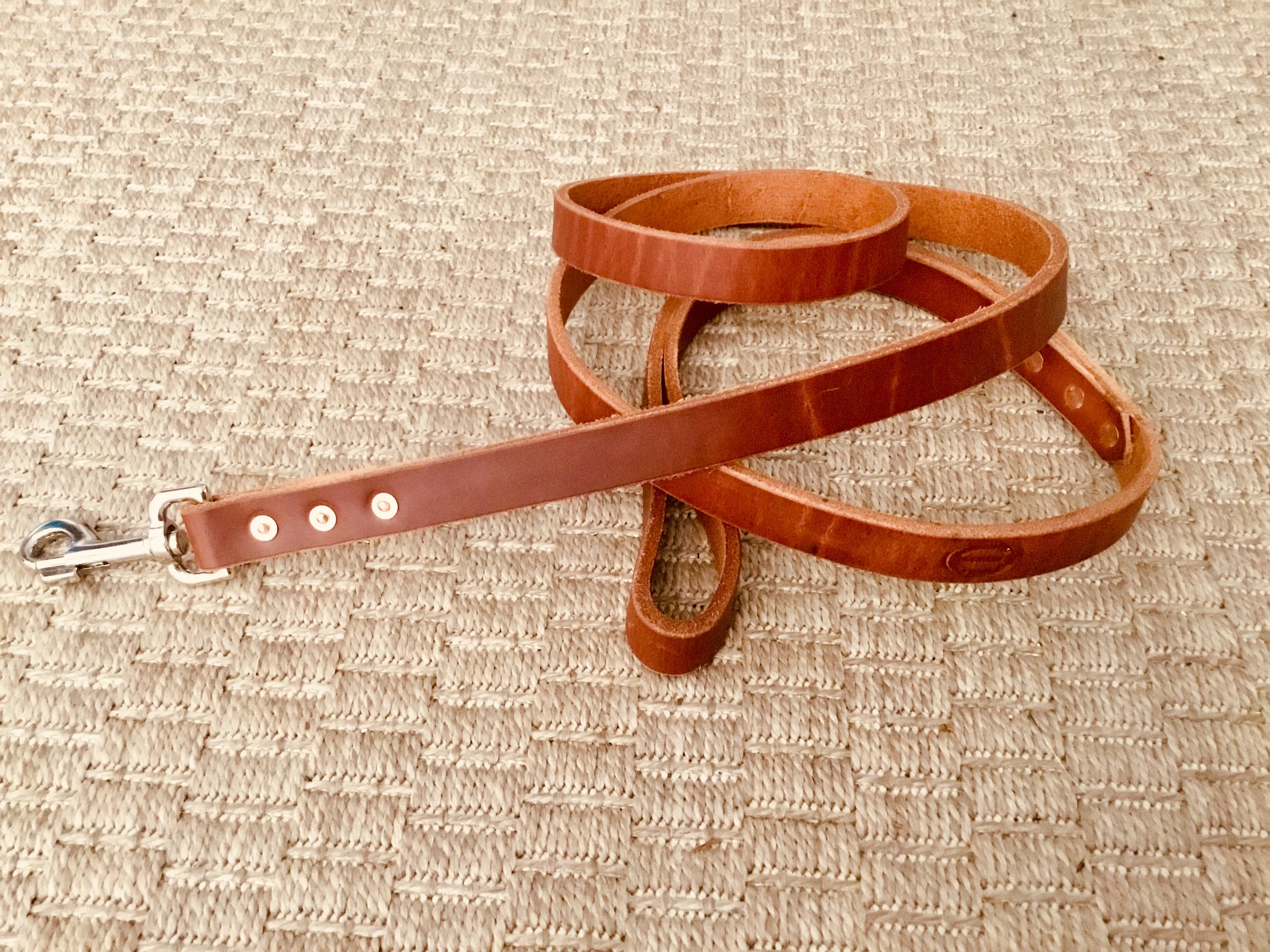Hollis Leather Dog Leash