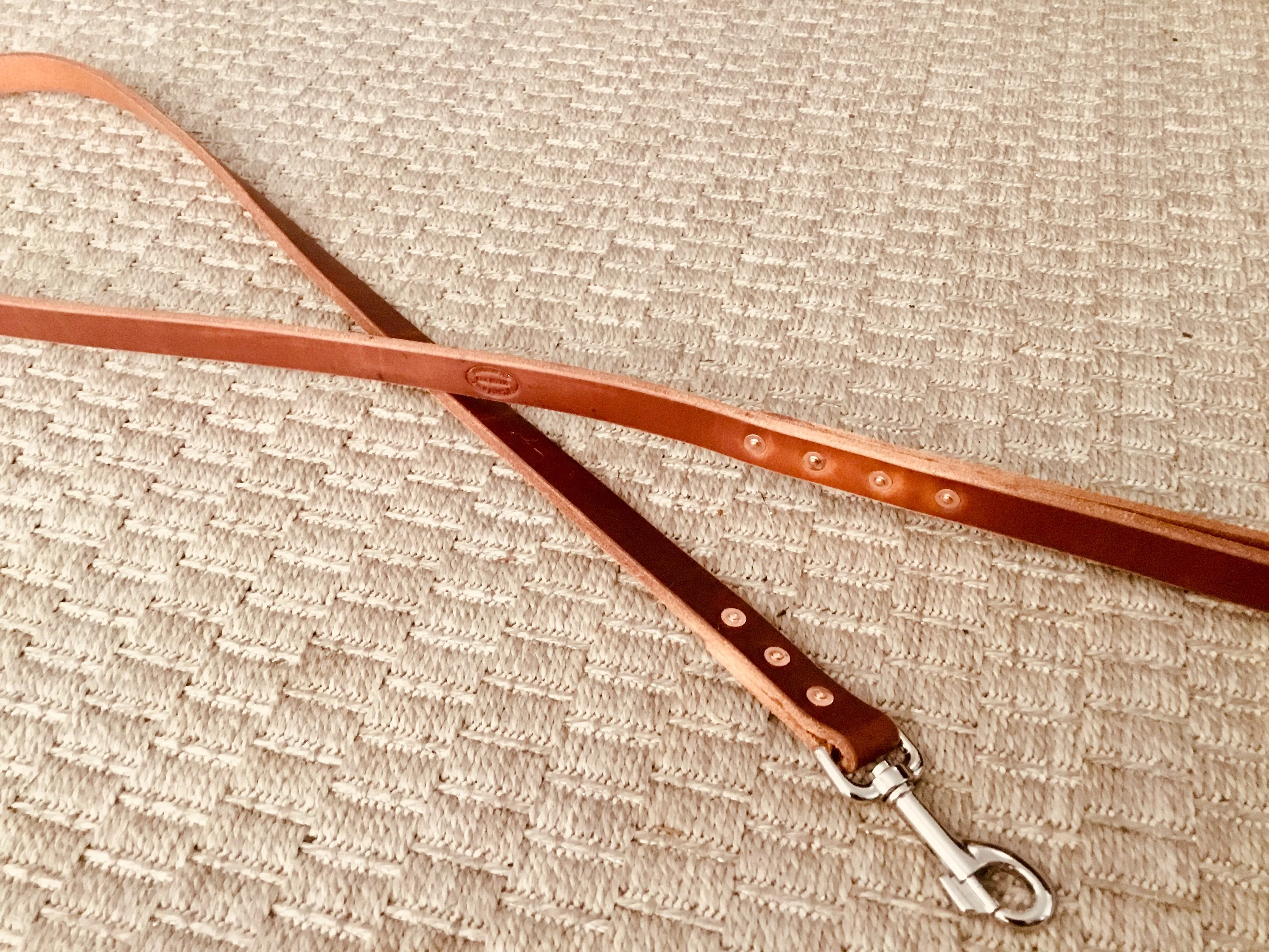 Hollis Leather Dog Leash
